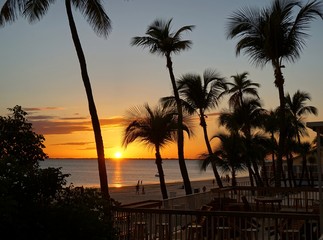 Obraz premium Sonnenuntergang in Florida