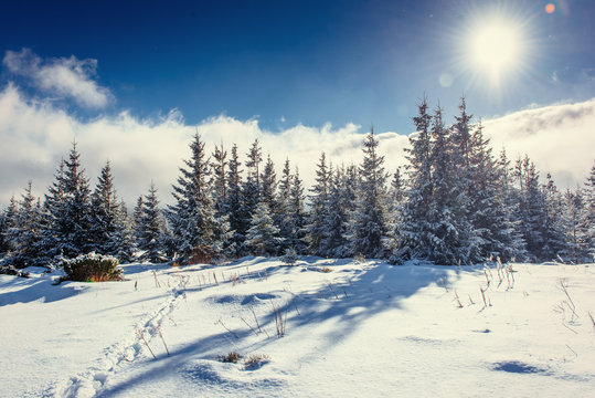 Fantastic winter landscape and trodden trails that lead