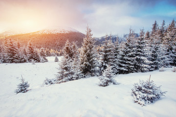 Mysterious Winter landscape with fog, majestic mountains