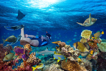 young male snorkler exploring colorful underwater world coral reef with many fishes sea turtle...