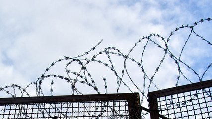Razor wire fence