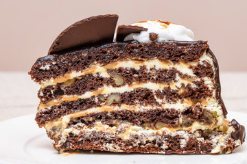 Dark chocolate cake slice with white cream, nuts and curl, close up