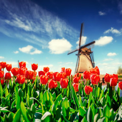 Traditional Dutch windmills from the canal in Rotterdam. Rows of