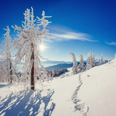 Fantastic winter landscape and trodden trails that lead into the