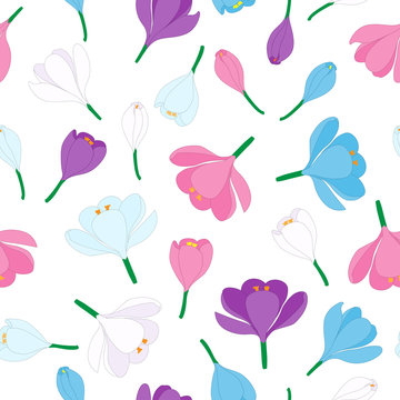 Spring background with hand-drawn crocuses. Seamless floral pattern