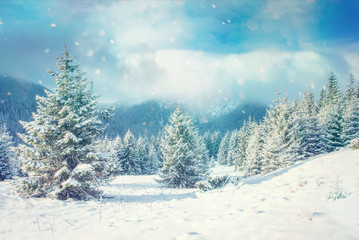 Winter landscape glowing by sunlight. Dramatic wintry scene. - obrazy, fototapety, plakaty