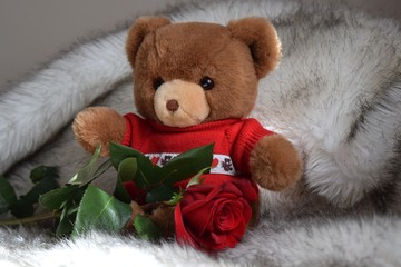 Valentine's teddy bear with red rose