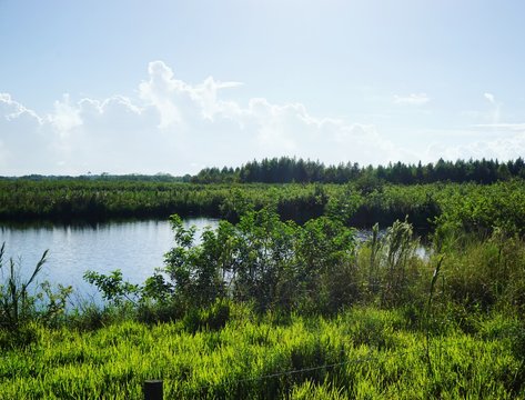  Am Okeechobeesee in Florida