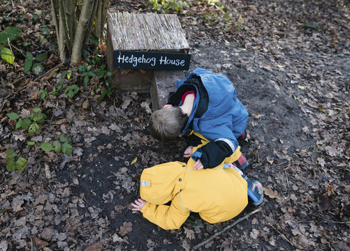 High angle view of siblings looking into hedgehog house in forest