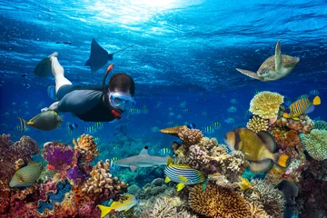 Fotobehang jonge mannelijke snorkelaar die kleurrijk onderwaterwereldkoraalrif met vele vissen onderzoekt zeeschildpadhaai snorkelende achtergrond © stockphoto-graf