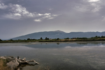 The mouth of the river to the sea on a par Thessalian in Greece.