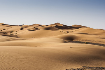 Desierto del Sahara, Marruecos