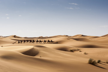 Fototapeta na wymiar Caravana de camellos, Marruecos