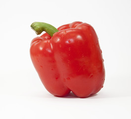 Single red pepper with green stem against a white background