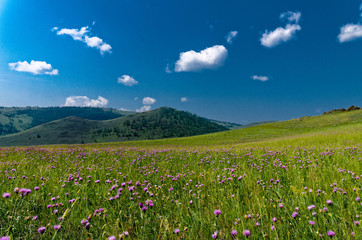 Obraz premium Irkutsk