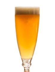 Copa de cerveza aislada en fondo blanco