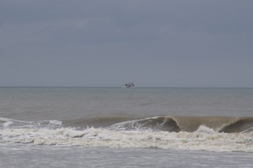 Shrimp Boat catching Dinner