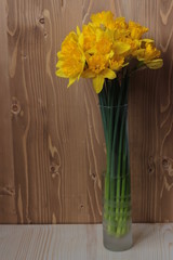 Spring flowers - Large-Cupped Daffodil  - 137000780
