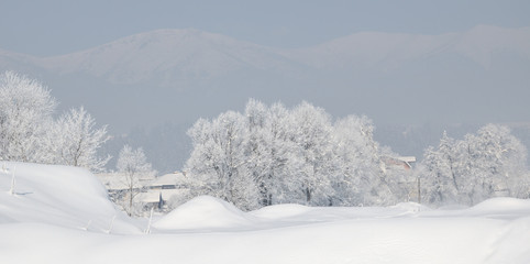 Trees covered with hoarfrost and snow in winter on mountains background