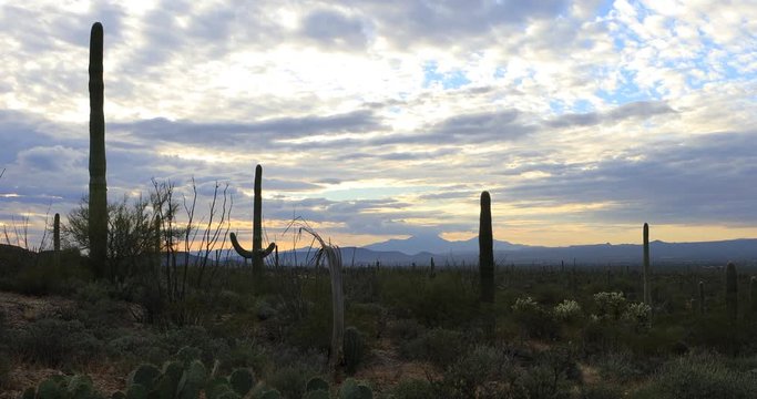 4K UltraHD A View of twilight in Tucson Mountain Park