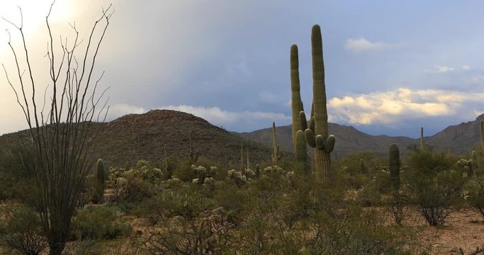 4K UltraHD A Vista view in Tucson Mountain Park