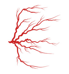 eye vein red vector symbol icon design.