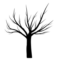 Obraz premium bare tree winter vector symbol icon design.