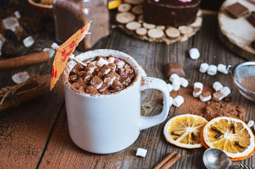 cup of hot chocolate with marshmallows sprinkled with cocoa