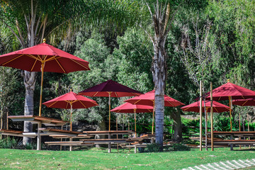 Umbrellas used to rest and eat snacks along a trail