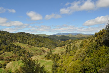 Fototapeta na wymiar New Zealand hills and landscape with meadows