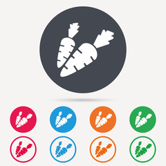 Carrot icon. Fresh natural vegetable symbol. Vegetarian food. Round circle buttons. Colored flat web icons. Vector