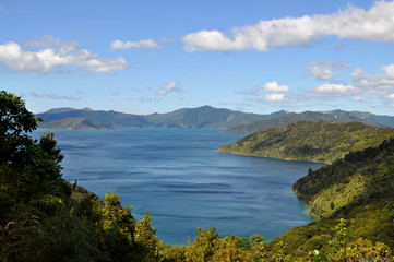 Obraz premium View from the Queen Charlotte Track, New Zealand