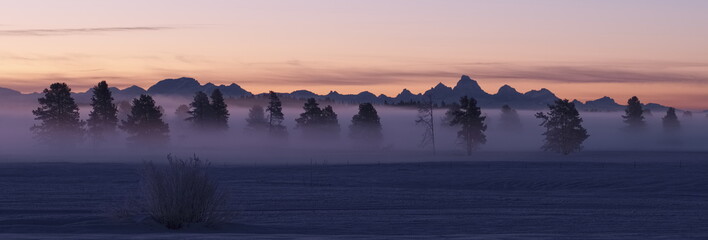 Misty Winter Morning in Island Park, Idaho