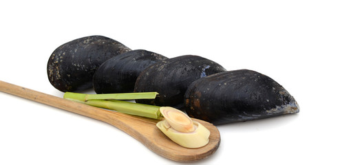 Fresh mussels on white background