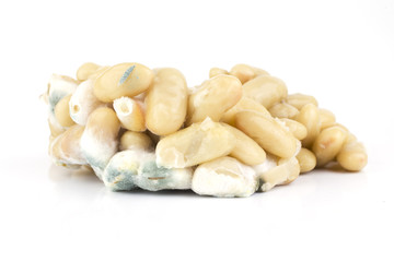 Moldy white beans