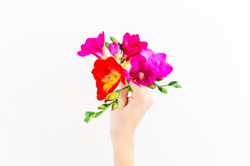 Freesia flowers in girl hands isolated on white background. Flat lay, top view. Floral background.