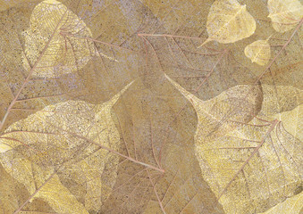 season, floral, leaf, texture, nature, foliage, ecology, silhouette, green, plant, spring, background, environment, shape, card, botany, wallpaper, decoration, abstract, tree, design, eco, swirl, gard