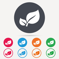 Leaf icon. Fresh organic product symbol. Round circle buttons. Colored flat web icons. Vector