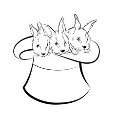 Hat of the magician with three rabbits. Vector illustration