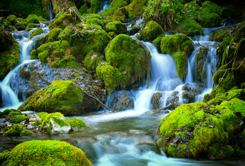 Mountain stream among the mossy stones - 137009509