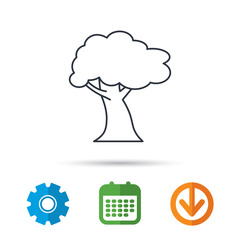 Oak tree icon. Forest wood sign. Nature environment symbol. Calendar, cogwheel and download arrow signs. Colored flat web icons. Vector