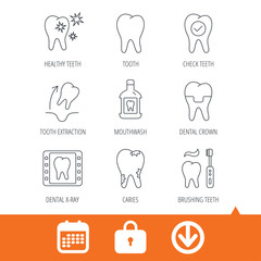 Tooth, dental crown and mouthwash icons. Caries, tooth extraction and hygiene linear signs. Brushing teeth flat line icon. Download arrow, locker and calendar web icons. Vector