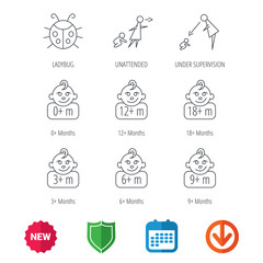 Infant child, ladybug and toddler baby icons. 0-18 months child linear signs. Unattended, parents supervision icons. New tag, shield and calendar web icons. Download arrow. Vector