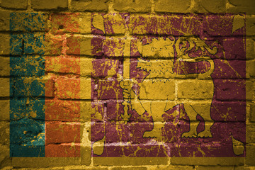 painted national flag of sri lanka on a brick wall