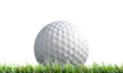 Golf Ball Resting On Grass