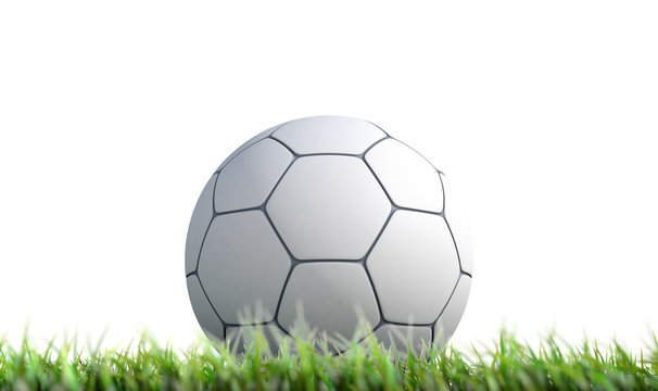 Soccer Ball Resting On Grass