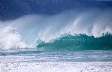 North Shore Winter Waves