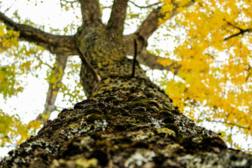 Lo hermosa que es la naturaleza de cerca