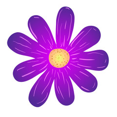 Vector illustration. Purple flower on a white background.