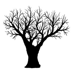 Vector illustration. Silhouette of bare tree on a white background.